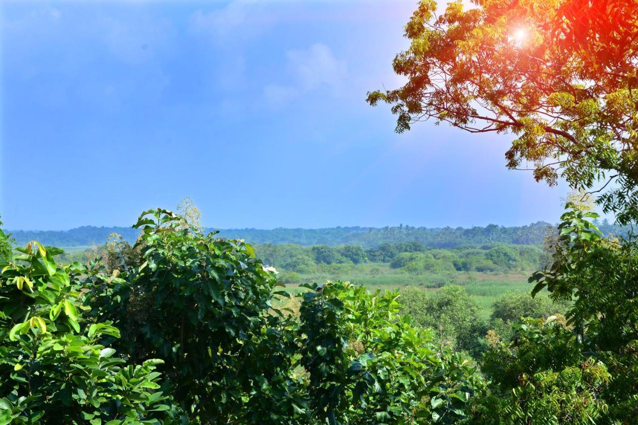Randu Homestay And Restaurant Tangalle Buitenkant foto