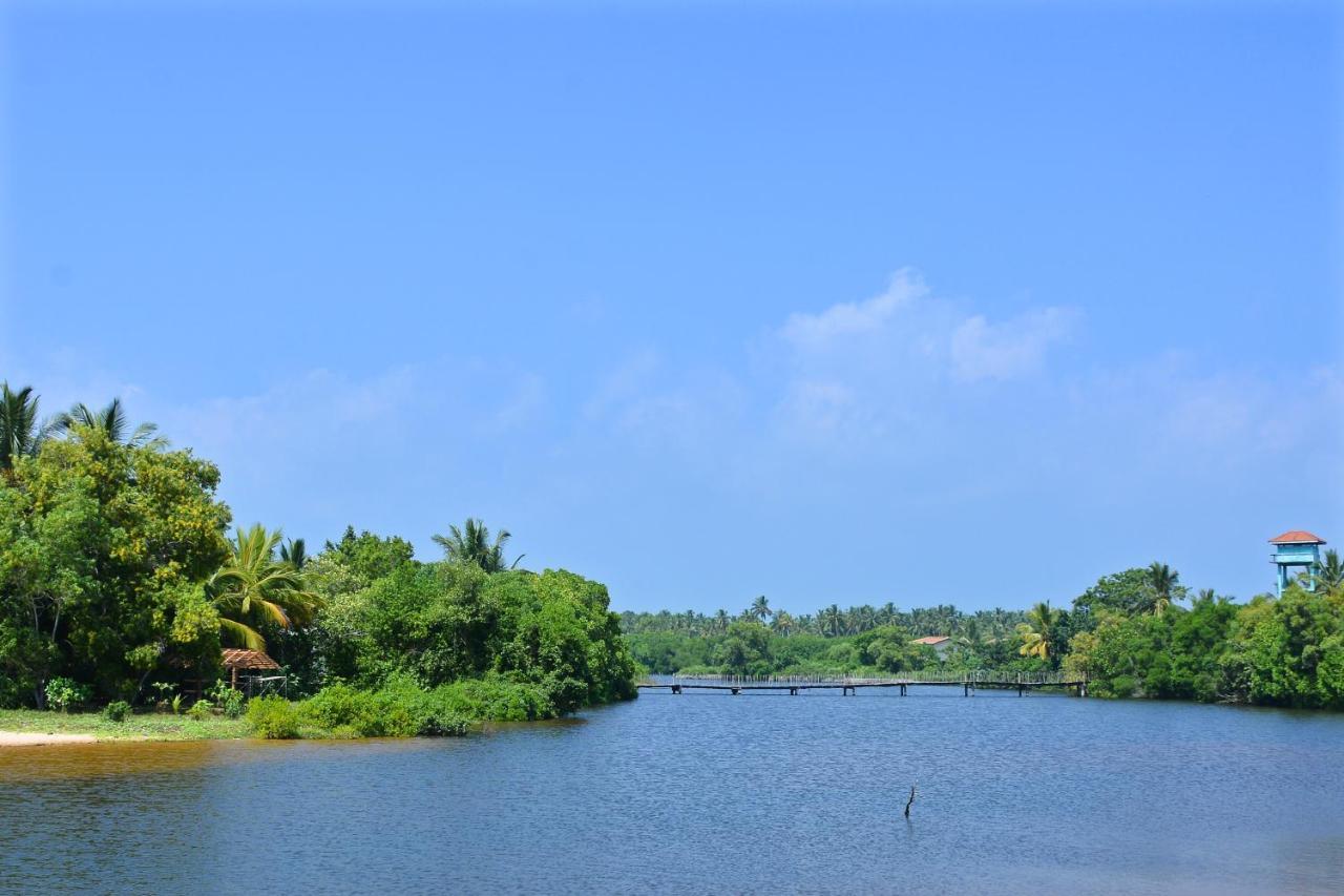 Randu Homestay And Restaurant Tangalle Buitenkant foto